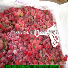 Uvas de globo vermelho de uva sem sementes Pampas originais vindo com alta qualidade